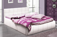 Кровать интерьерная Треви - 2 1600 с подъемным мех. - 2 цвета